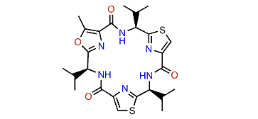 Bistratamide H